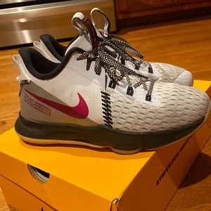 Lebron Witness 5 BBall shoes